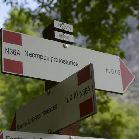 Campsite Parco Archeologico Valdieri